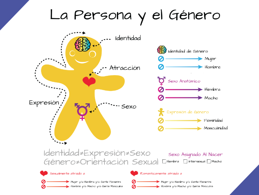 Diversidad sexual y de género a través de la galleta de jengibre ...